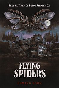 Watch Flying Spiders