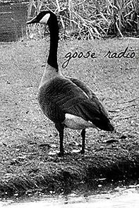 Watch Goose Radio