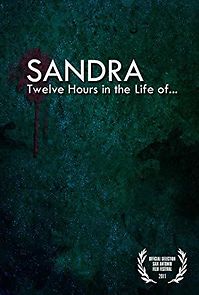Watch Sandra: Twelve Hours in the Life of...