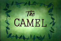 Watch The Nature of Things: The Camel
