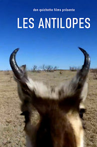 Watch Les Antilopes