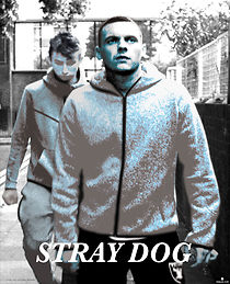Watch Stray Dog