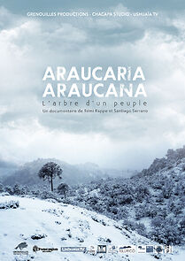 Watch Araucaria Araucana