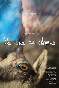 Watch La Voix du Chamois (Short 2023)