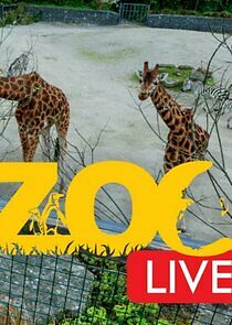 Watch Zoo Live