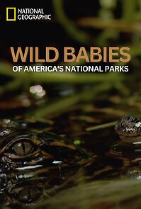 Watch Wild Babies of America's National Parks (TV Special 2023)