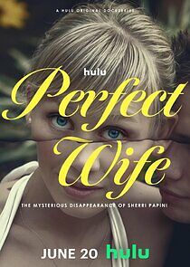Watch Perfect Wife: The Mysterious Disappearance of Sherri Papini