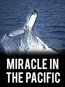 Watch Miracle in the Pacific