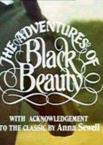Watch The New Adventures of Black Beauty
