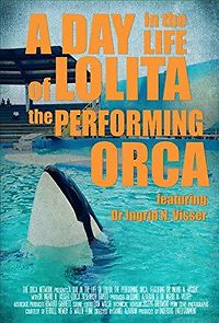 Watch A Day in the Life of Lolita the Performing Orca, featuring Dr. Ingrid N. Visser