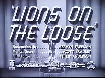 Watch Lions on the Loose (Short 1941)