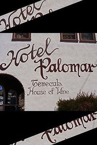 Watch Hotel Palomar